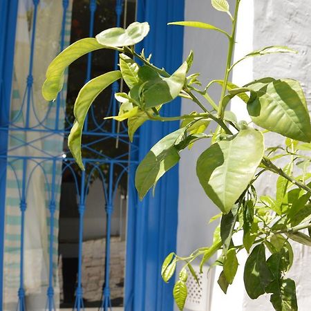 La Chambre Verte Bed & Breakfast Sidi Bou Said Exterior photo