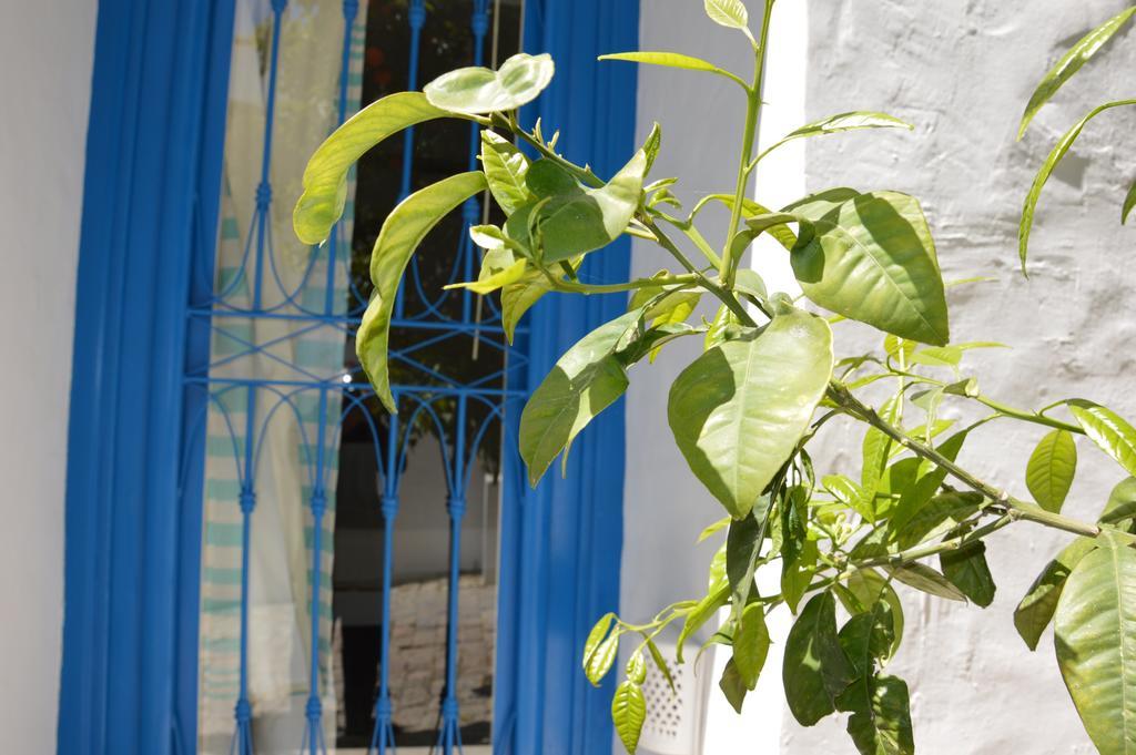 La Chambre Verte Bed & Breakfast Sidi Bou Said Exterior photo